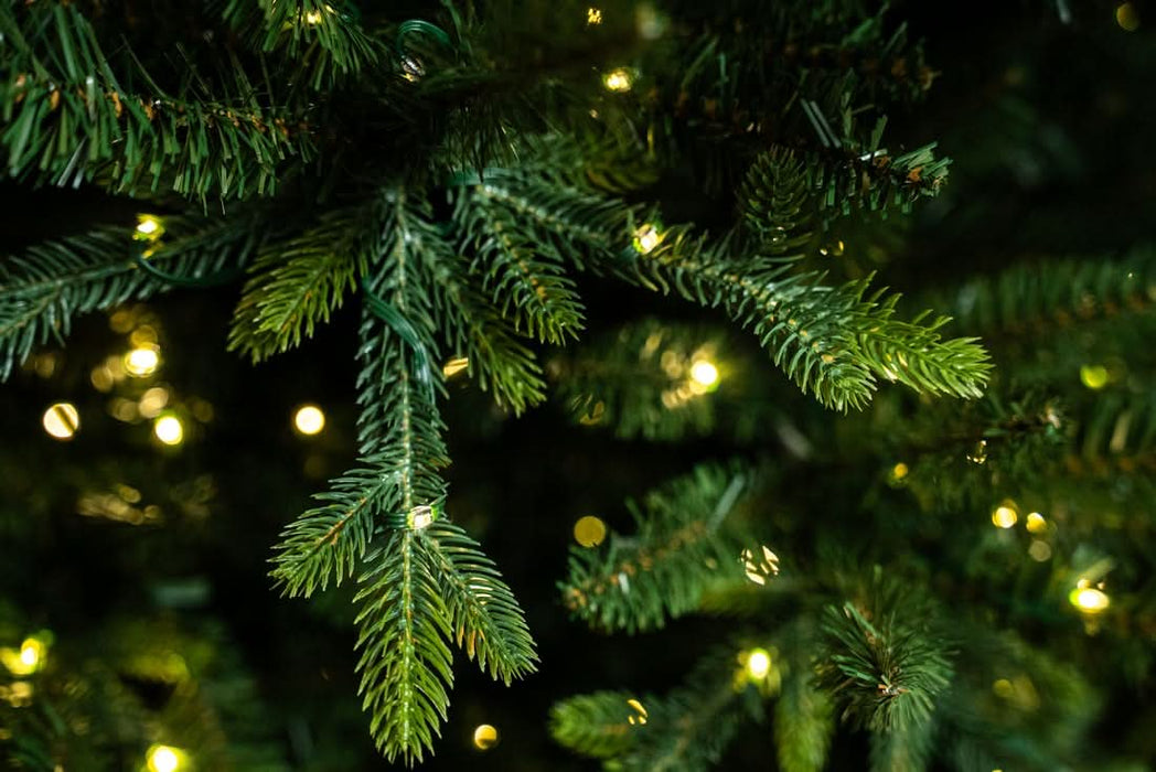 BOSK MONTPELLIER FIR TREE - 7.5ft & 8.5ft option with Colour Switch LED and Multi-action 16 Function Remote Control