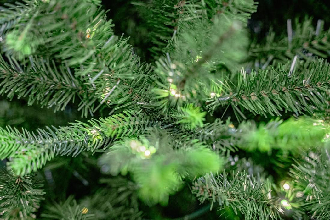 BOSK MONTPELLIER FIR TREE - 7.5ft & 8.5ft option with Colour Switch LED and Multi-action 16 Function Remote Control