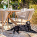 Hartman Portico 6 Seat Round Dining Set