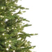 National Tree Company 7.5 ft Bedminster Spruce with Dual Color LED Infinity Lights