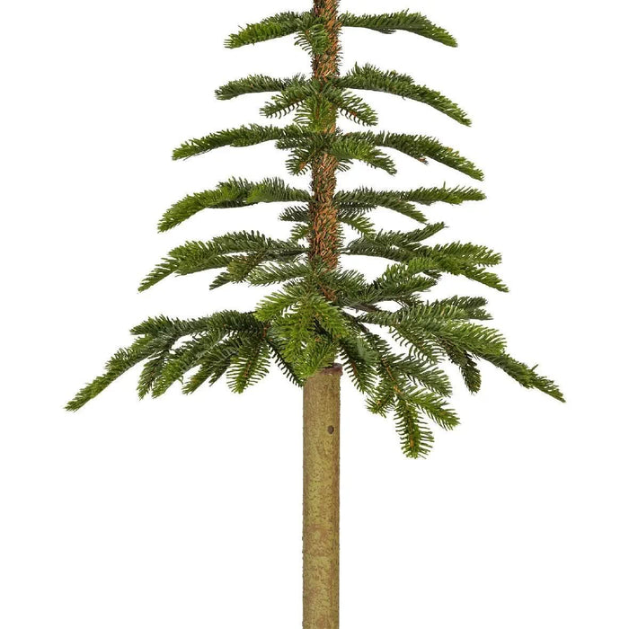 Everlands Alpine Fir 4ft (120cm)