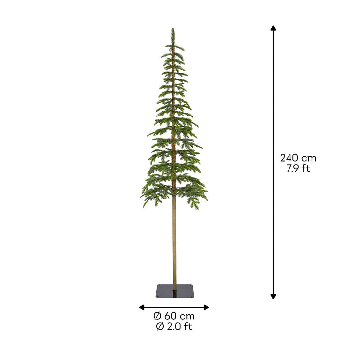 Everlands Alpine Fir Tree 240cm / 8ft