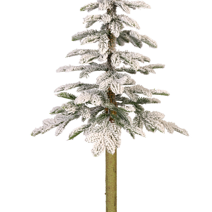 Everlands Snowy Alpine 150cm (5ft)