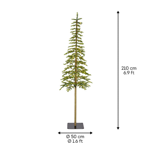Pre Lit Alpine Fir Tree 210cm / 7ft | Kaemingk Everlands