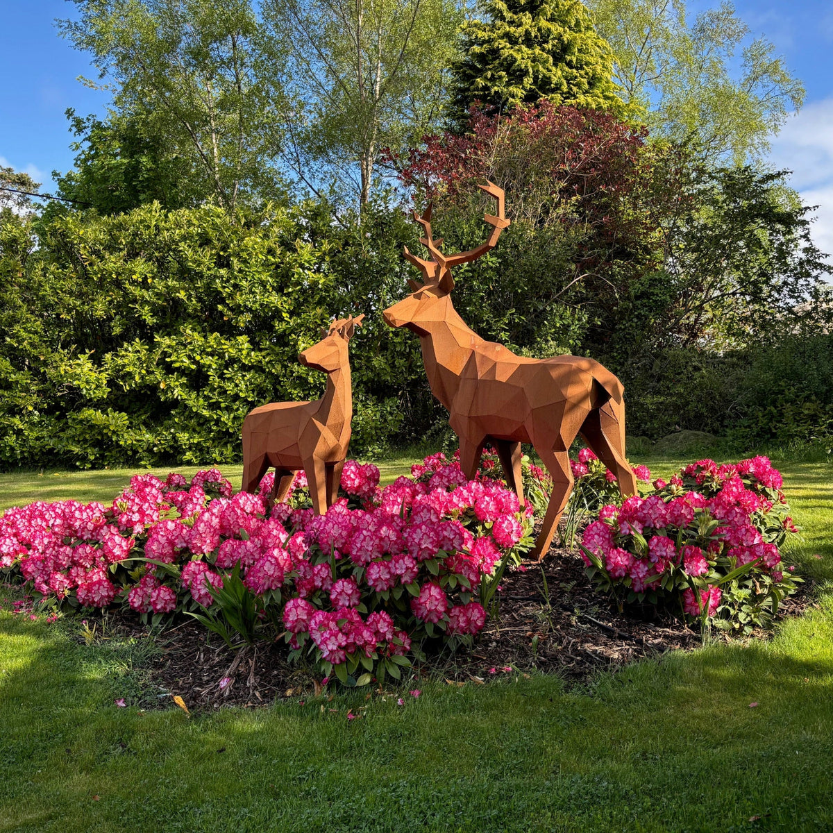 Mid Ulster Garden Centre