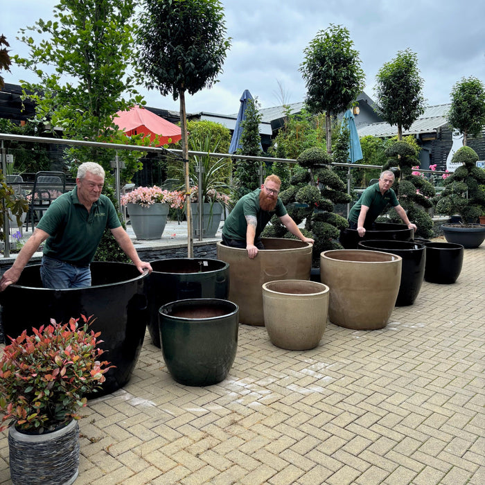 Glazed Garden Planters L, XL and XXL (Deep Green, Mocha & Black. Mid Ulster Northern Ireland Glazed Pots