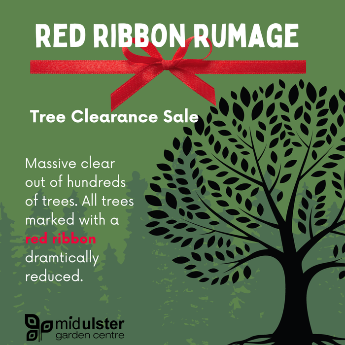 Red Ribbon Rumage (Tree Clearance Sale)