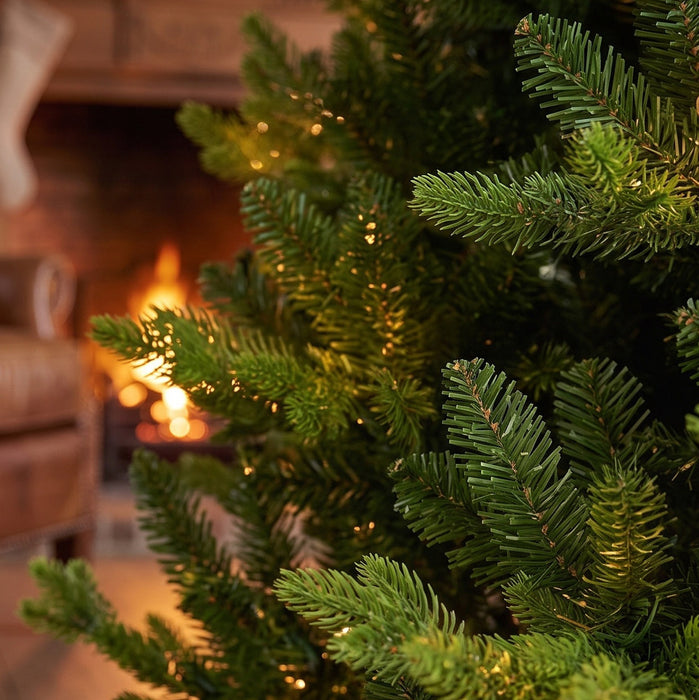 BOSK MONTPELLIER FIR - 8.5ft Christmas Tree