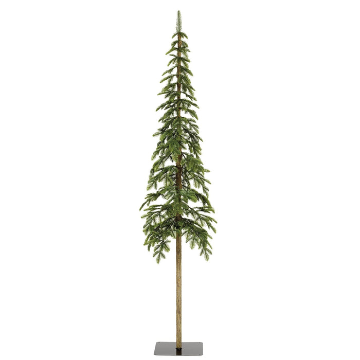 Everlands Alpine Fir Duo of Trees (6ft, 7ft)