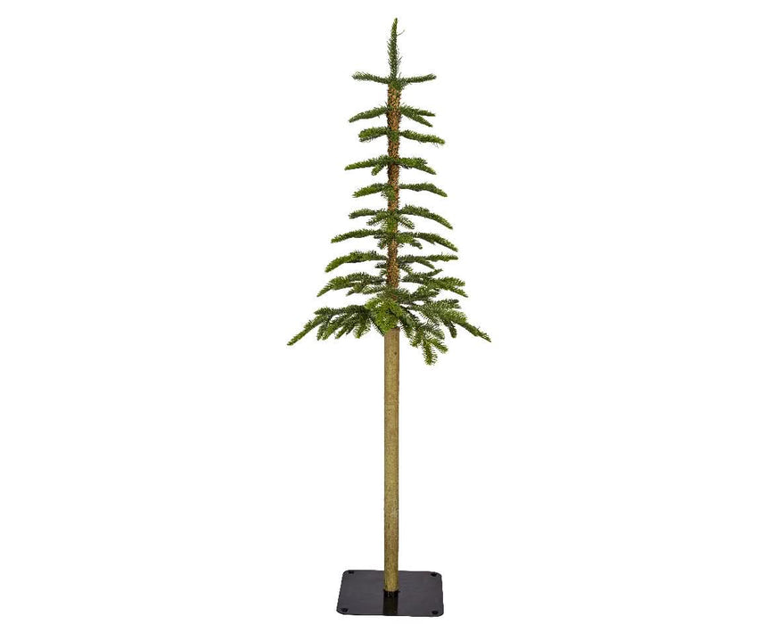 Everlands Alpine Fir Trio of Trees (4ft, 5ft, 6ft)