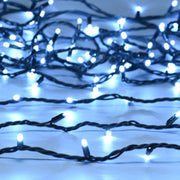 Festive Connectable Max LED Lights - Multiple Colour Options