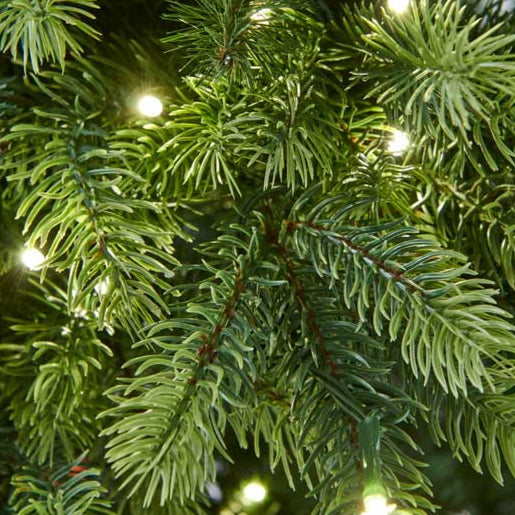 Bosk Oakley Fir Artificial Christmas Tree – 6.5ft (Pre-Lit & Unlit Options)