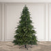 Bosk Royal Fir Artificial Christmas Tree – 6.5ft or 7.5ft (Pre-lit & Unlit Options)
