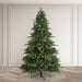 Bosk Royal Fir Artificial Christmas Tree – 6.5ft or 7.5ft (Pre-lit & Unlit Options)