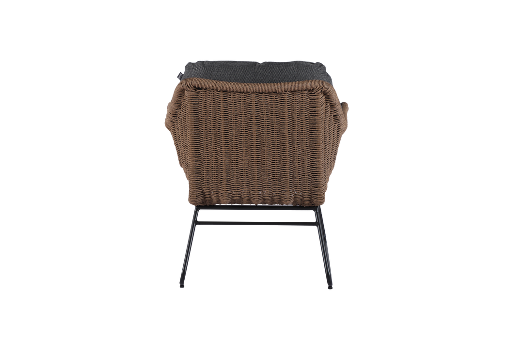 Hartman Rayo Companion Set