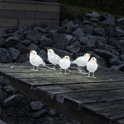 Konst Smide Christmas lighting Konstsmide Christmas LED Acrylic Birds