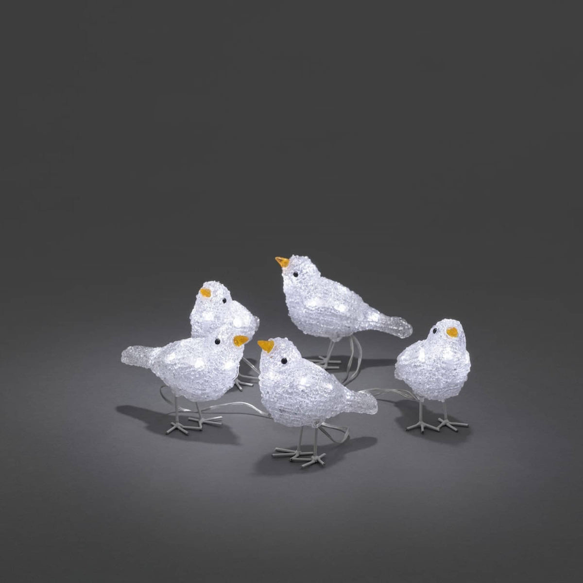 Konst Smide Christmas lighting Konstsmide Christmas LED Acrylic Birds