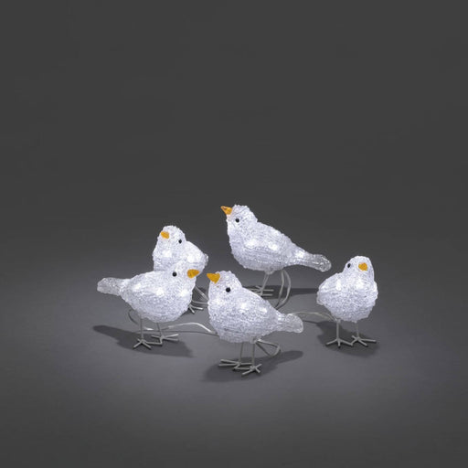Konst Smide Christmas lighting Konstsmide Christmas LED Acrylic Birds