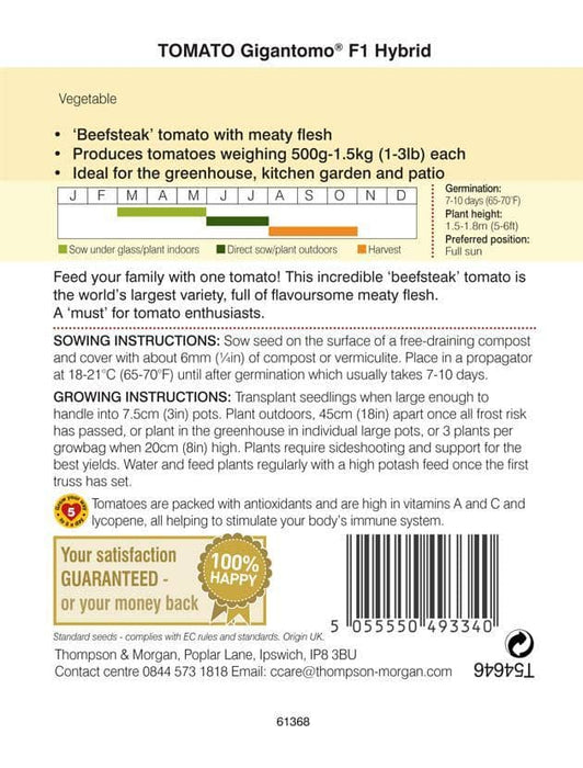 Thompson & Morgan (Uk) Ltd Gardening Thompson & Morgan Tomato Gigantomo F1 Hybrid