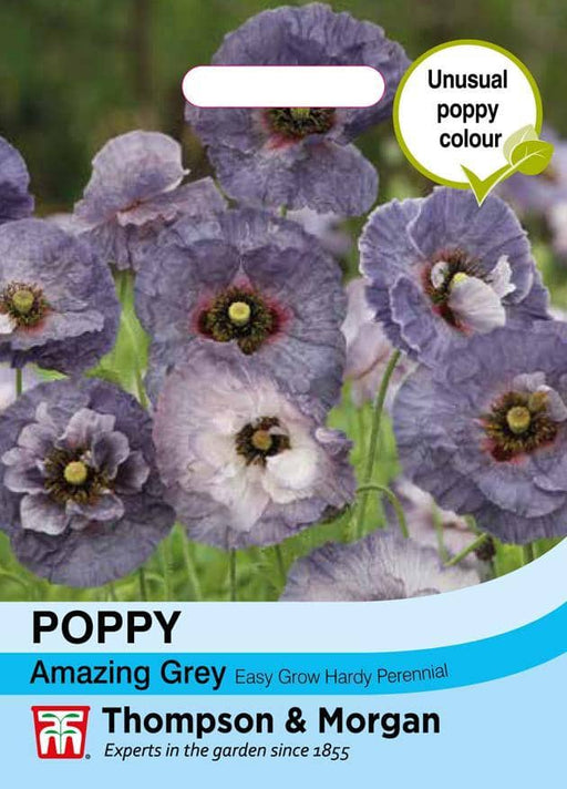 Thompson & Morgan (Uk) Ltd Gardening Papaver rhoeas Amazing Grey