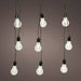 Kaemingk Christmas lighting Kaenmingk Led Party Globes 12L Blk/WW