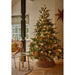 Kaemingk Artificial Christmas Trees Kaemingk Everlands Grandis Fir Christmas Tree 210cm / 7ft