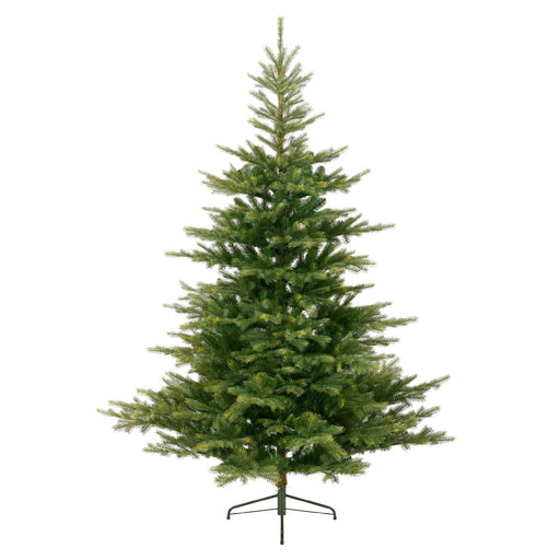 Kaemingk Artificial Christmas Trees Kaemingk Everlands Grandis Fir Christmas Tree 240cm / 8ft