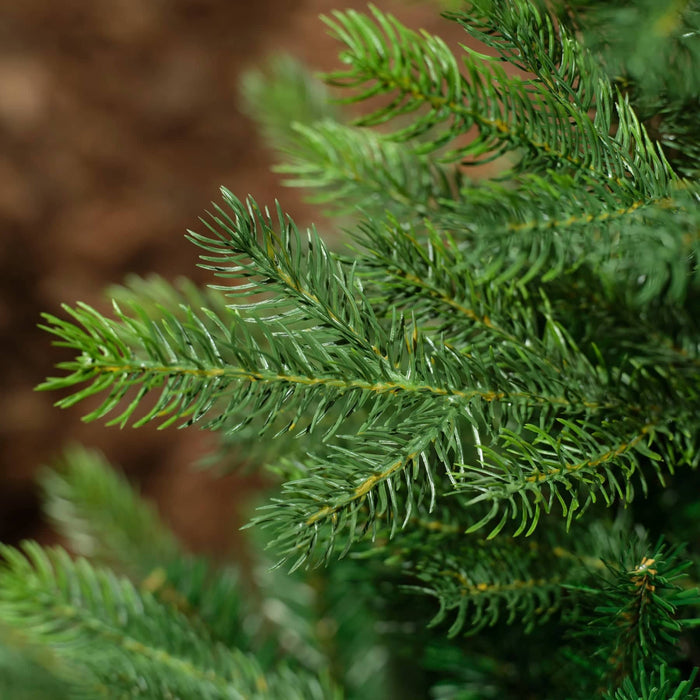 Kaemingk Artificial Christmas Trees Kaemingk Everlands Grandis Fir Christmas Tree 240cm / 8ft