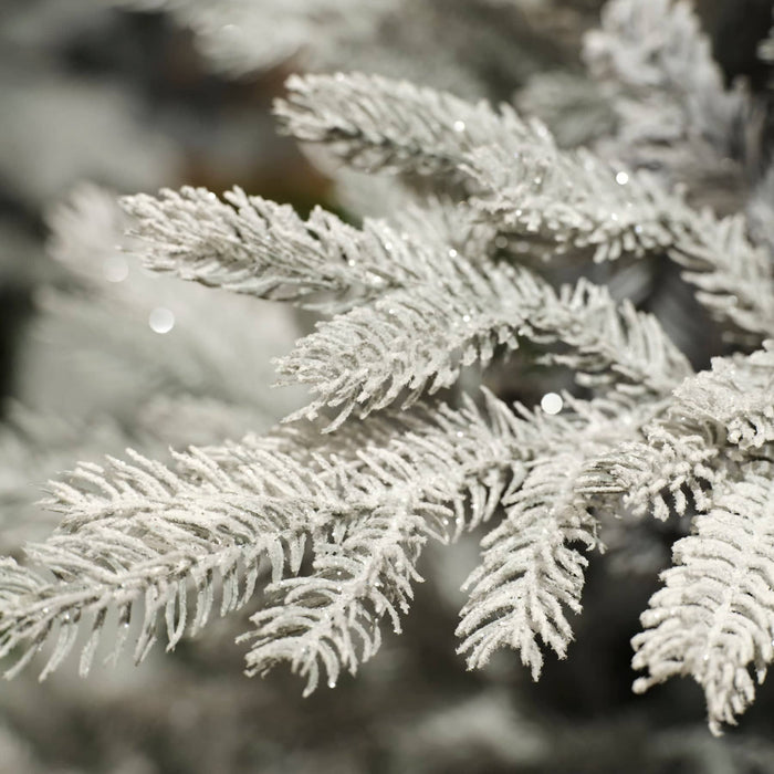 Kaemingk Everlands Grandis Fir Frosted Christmas Tree 7ft / 210cm Branch Detail