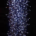Kaemingk Lumineo Christmas lighting Lumineo LED Twinkle Compact Lights - Cool White / Green Cable (1500 lights)