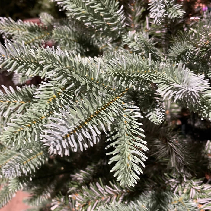 Everlands Trondheim Spruce Christmas Tree 210cm / 7ft 