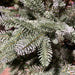Everlands Trondheim Spruce Christmas Tree 210cm / 7ft 