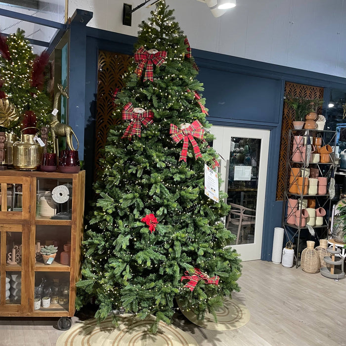 Everlands Freiburg Pine Tree 10ft / 300cm